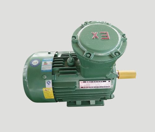 IIBT4永磁防爆電機(jī)